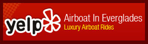 everglades airboat tour
